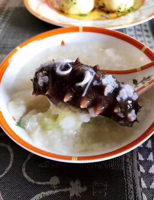 夏季高温天气在郑州能吃海参吗？海淀专家与当地食客的深度解析